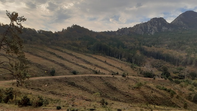 남파랑길 89코스