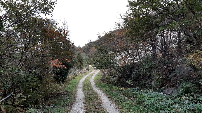 남파랑길 89코스