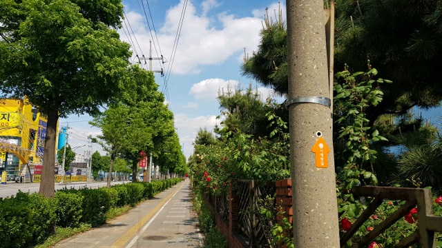 서해랑길 96코스