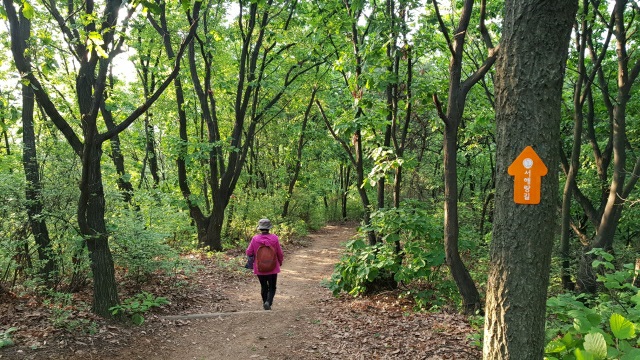 서해랑길 96코스
