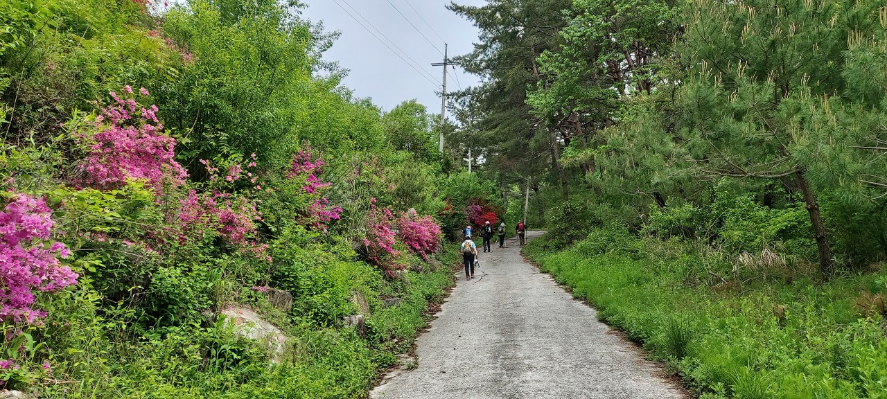 황둔쌀찐빵 이미지