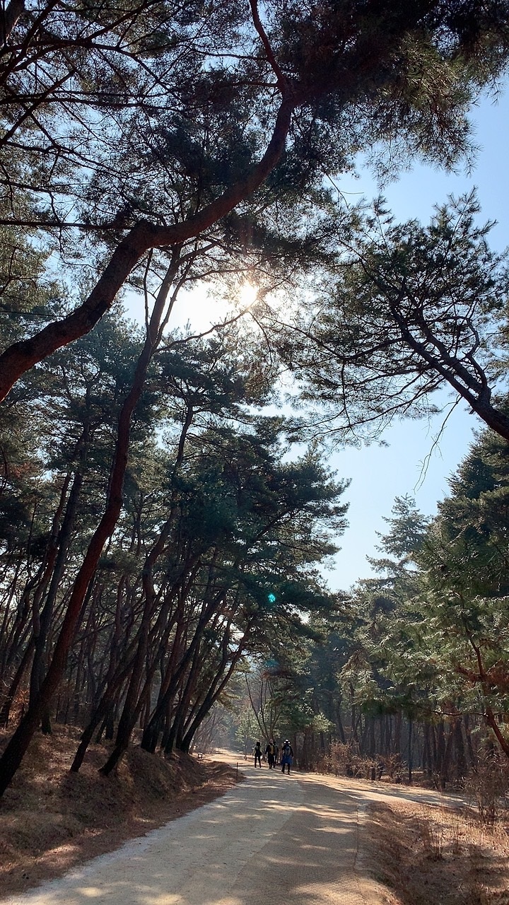 여강길 4코스 5일장터길