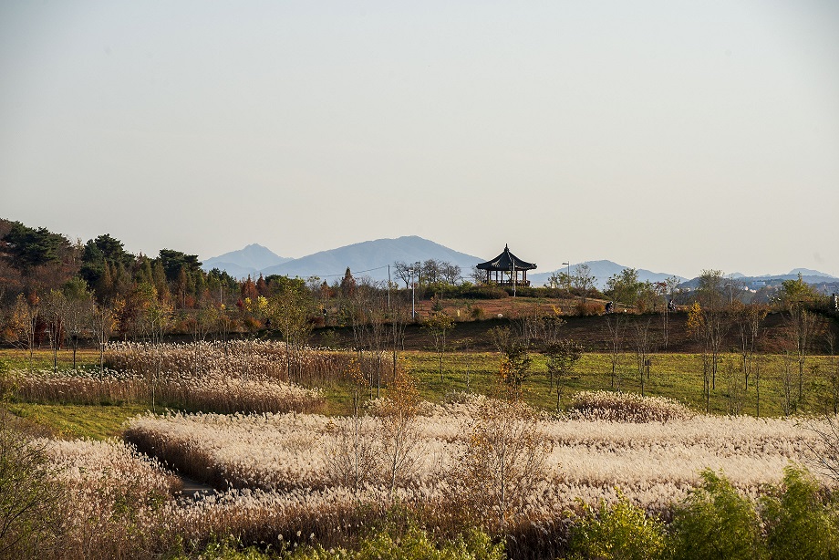 여강길 9코스 너른들길