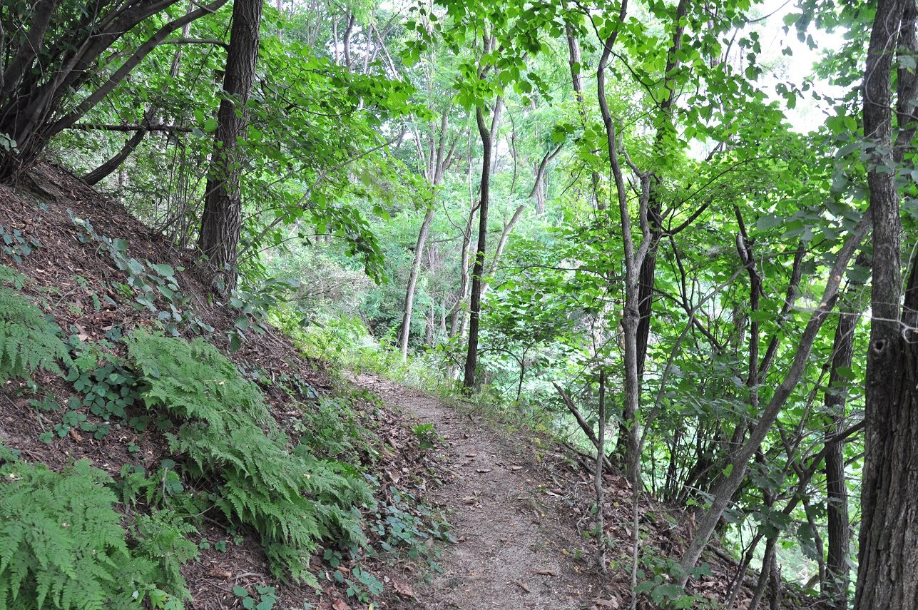 여강길 2코스 세물머리길