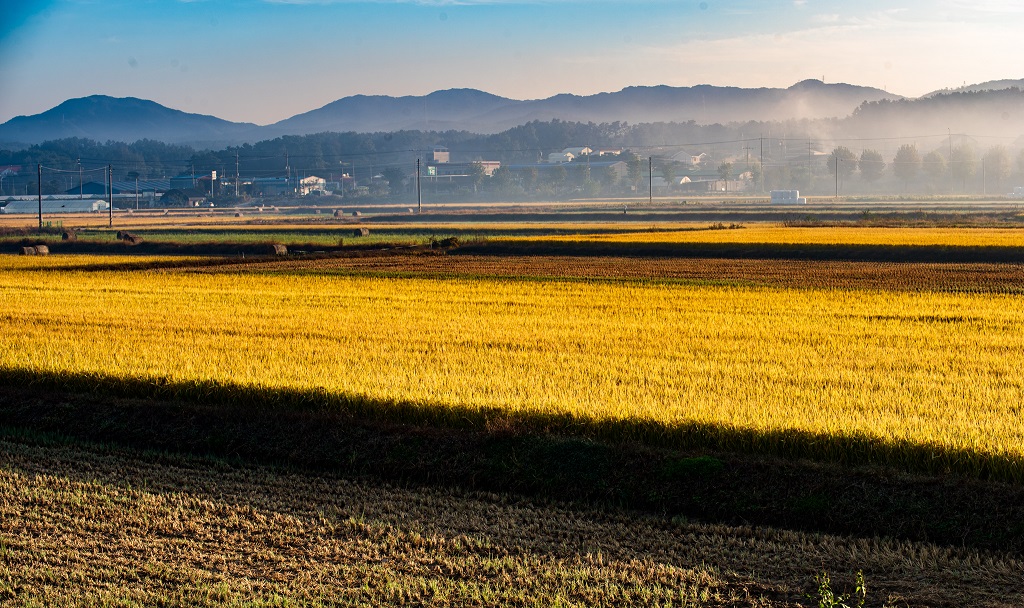 여강길 3코스 바위늪구비길