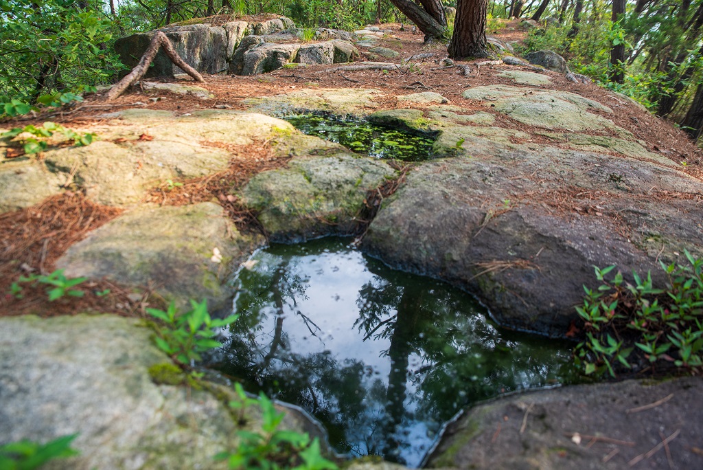 여강길 2코스 세물머리길