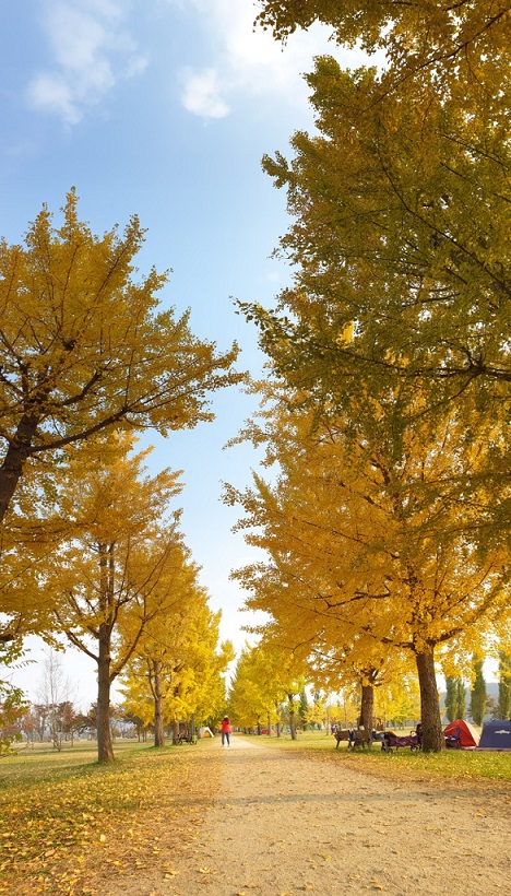 여강길 3코스 바위늪구비길