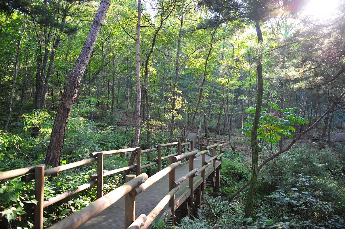 여강길 5코스 황학산길