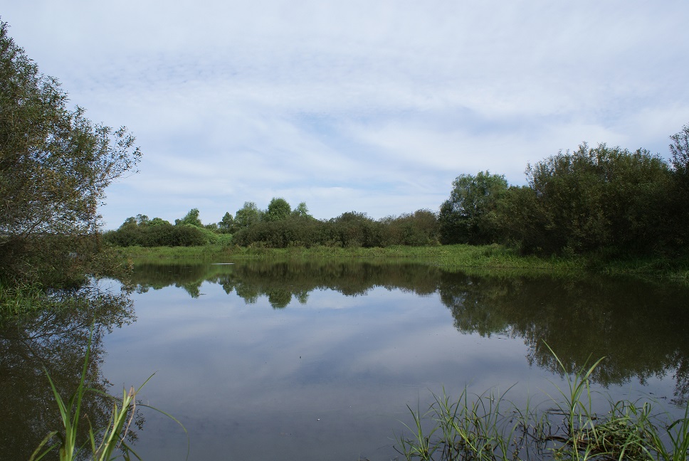 여강길 3코스 바위늪구비길