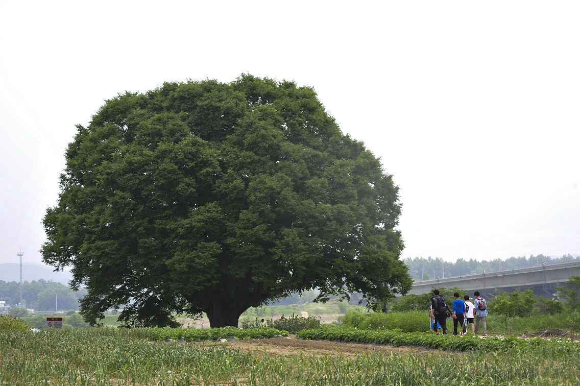 여강길 1코스 옛나루터길
