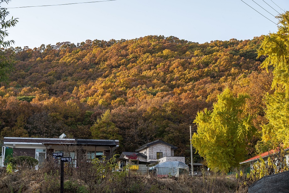 여강길 8코스 파사성길