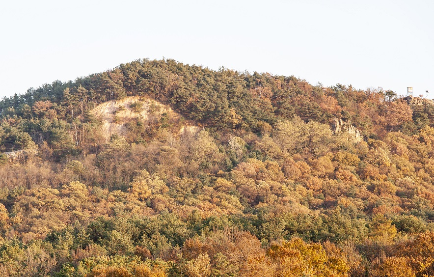 여강길 10-1코스 싸리산길