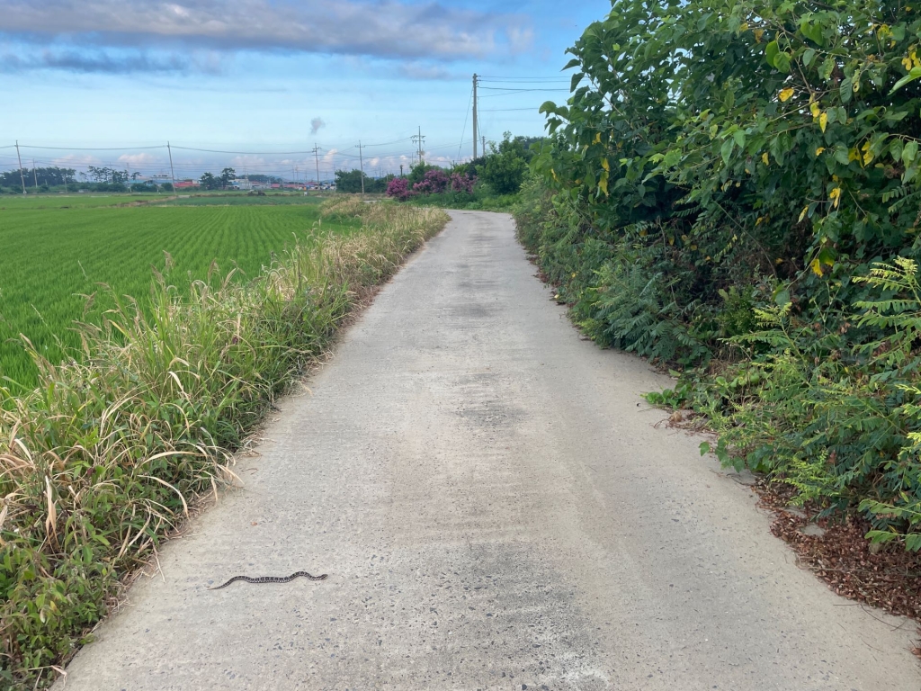 서해랑길 58코스