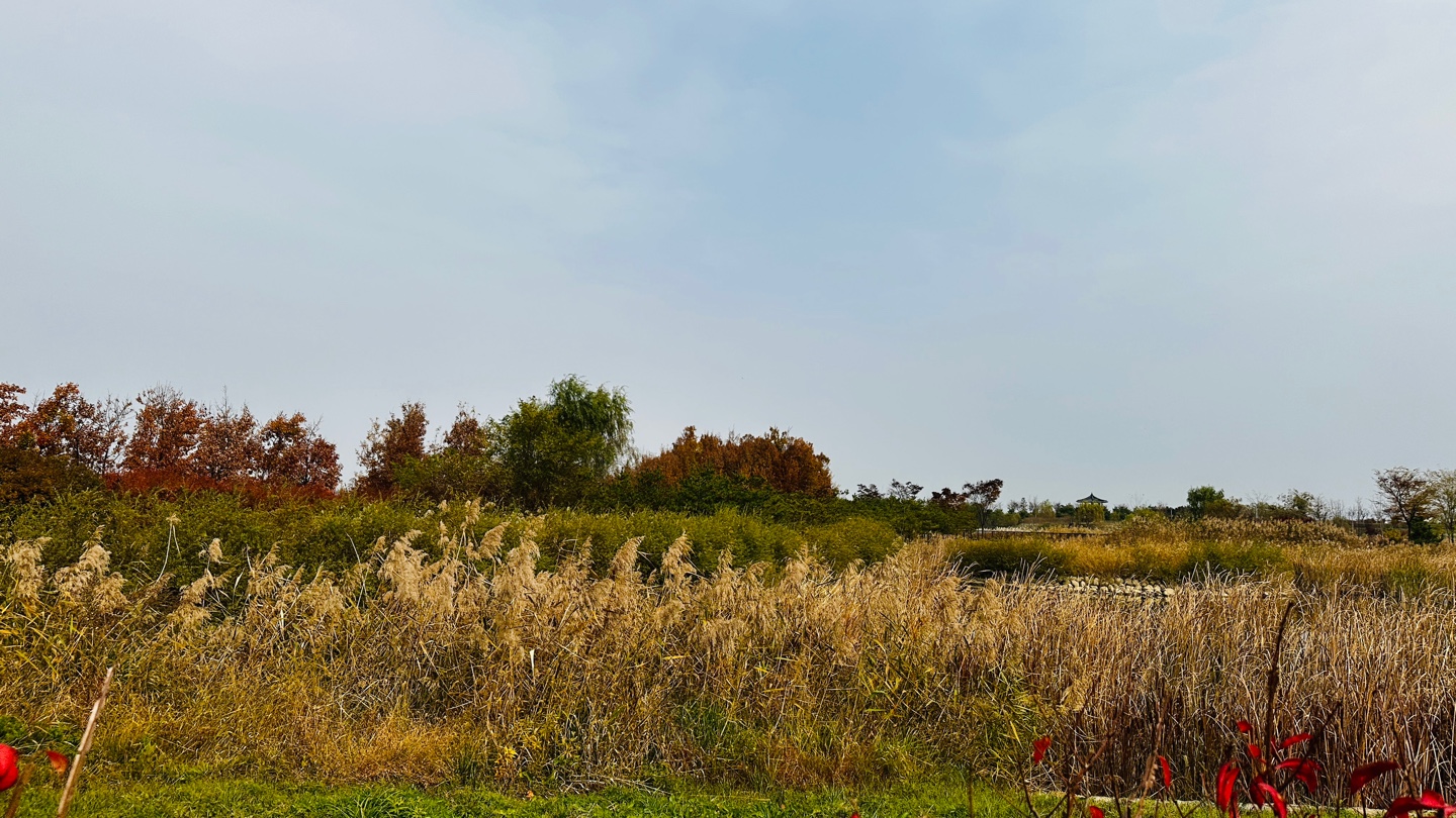 DMZ 평화의 길 4코스