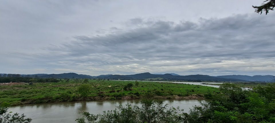 DMZ 평화의 길 8코스 (예약노선)