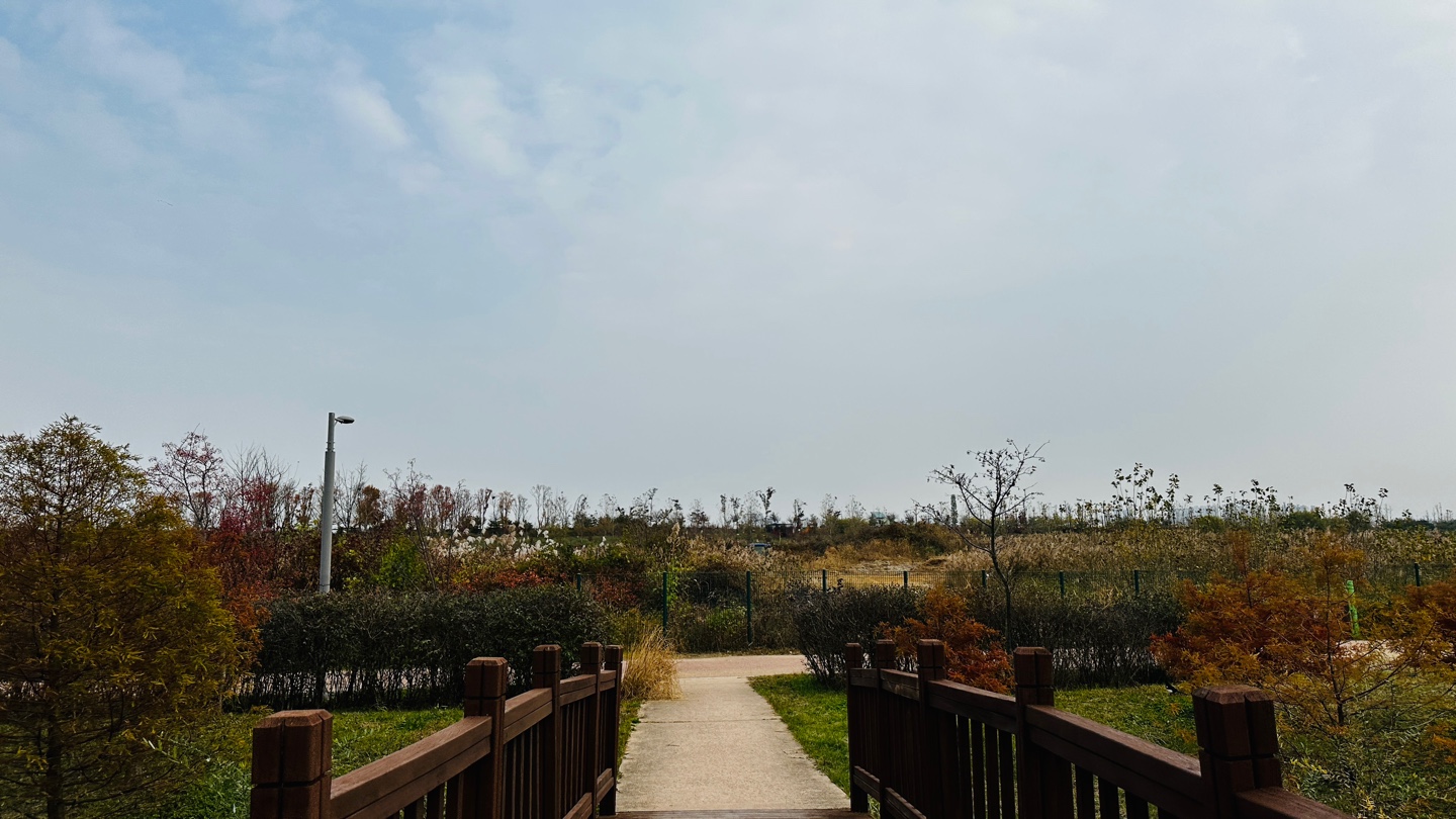 DMZ 평화의 길 4코스