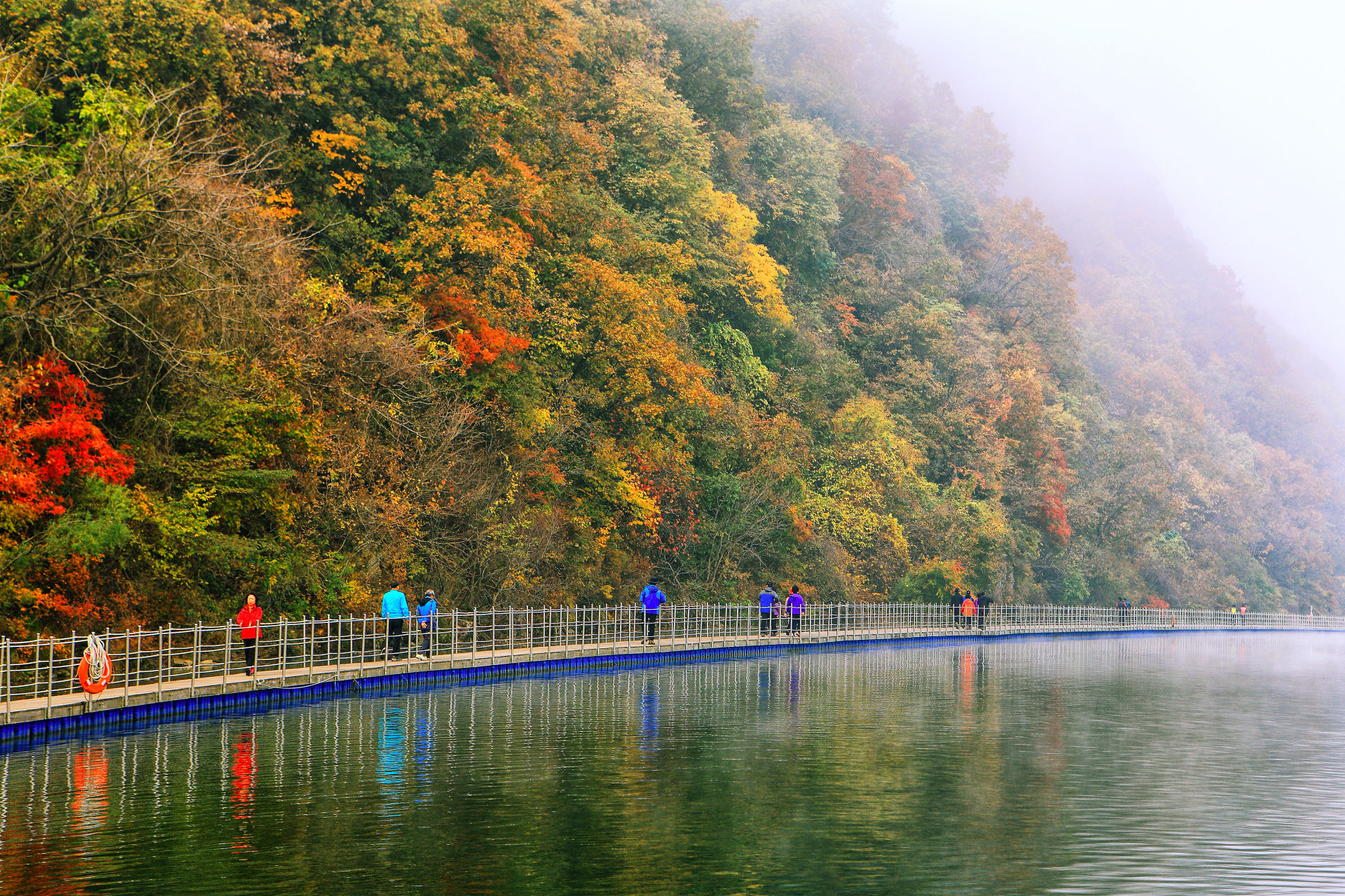 DMZ 평화의 길 22코스