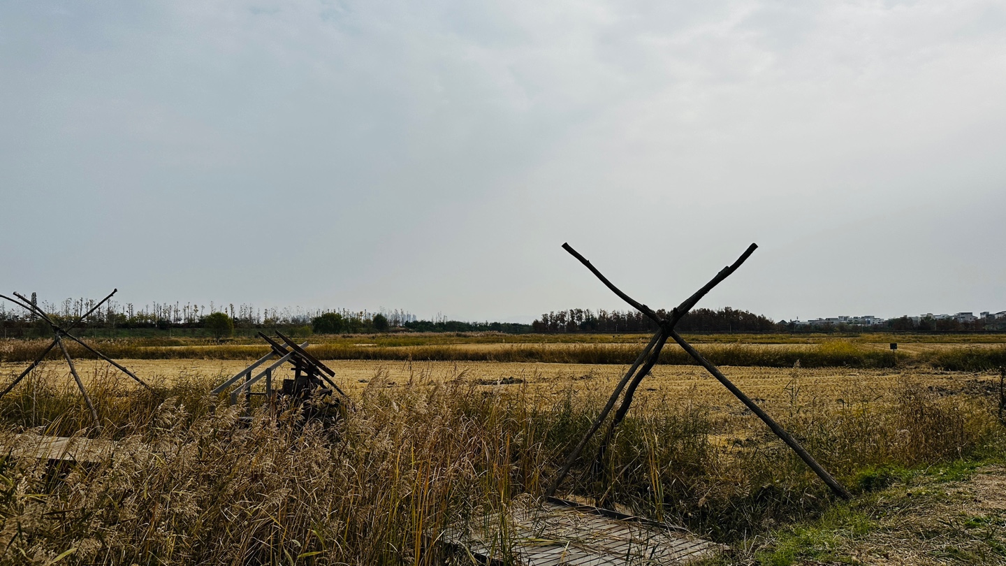 DMZ 평화의 길 4코스