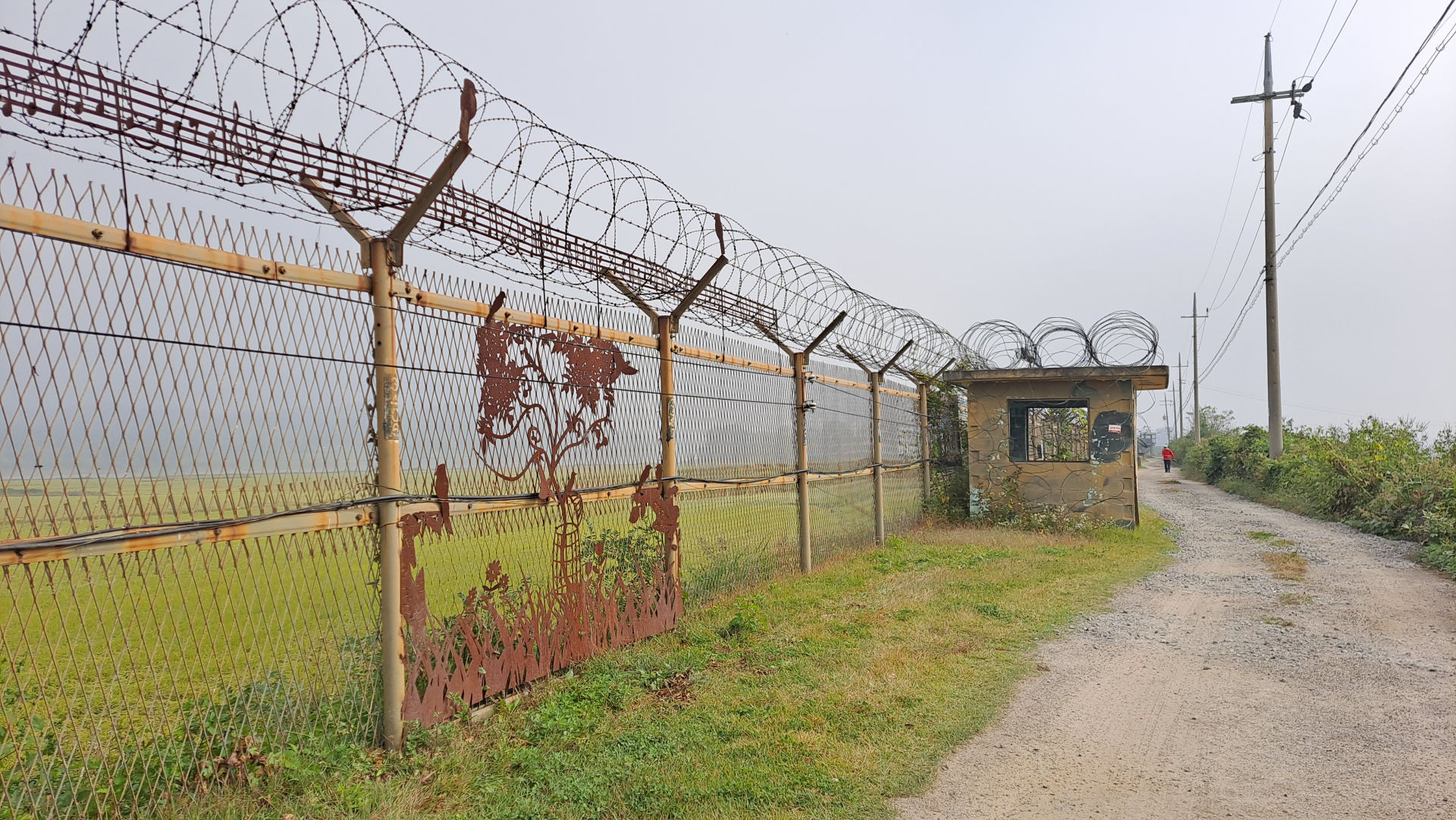 DMZ 평화의 길 8코스 (예약노선)