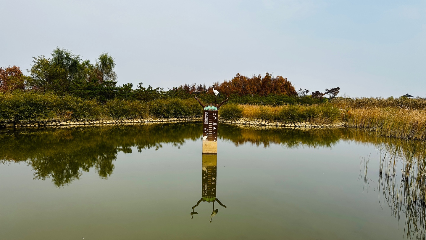 DMZ 평화의 길 4코스