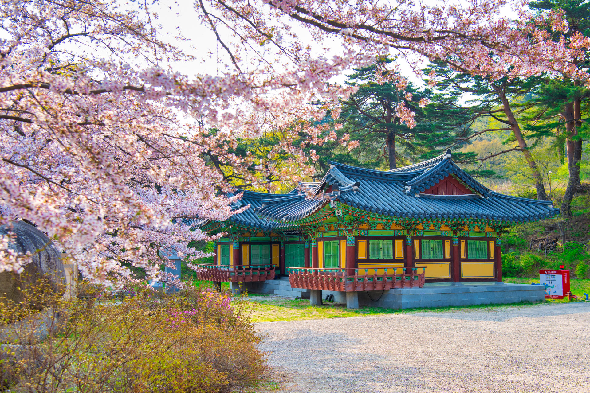 DMZ 평화의 길 32코스