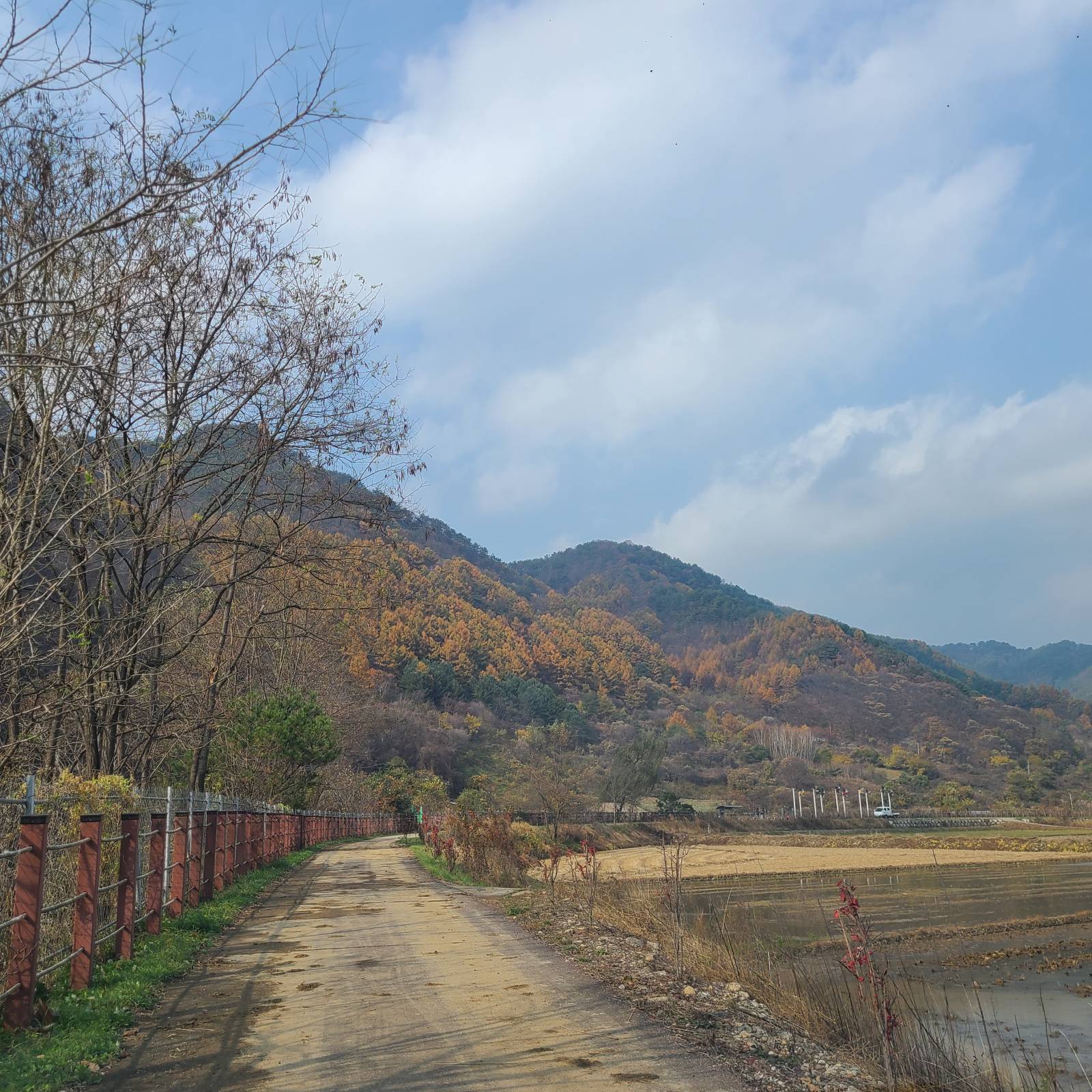 DMZ 평화의 길 25코스