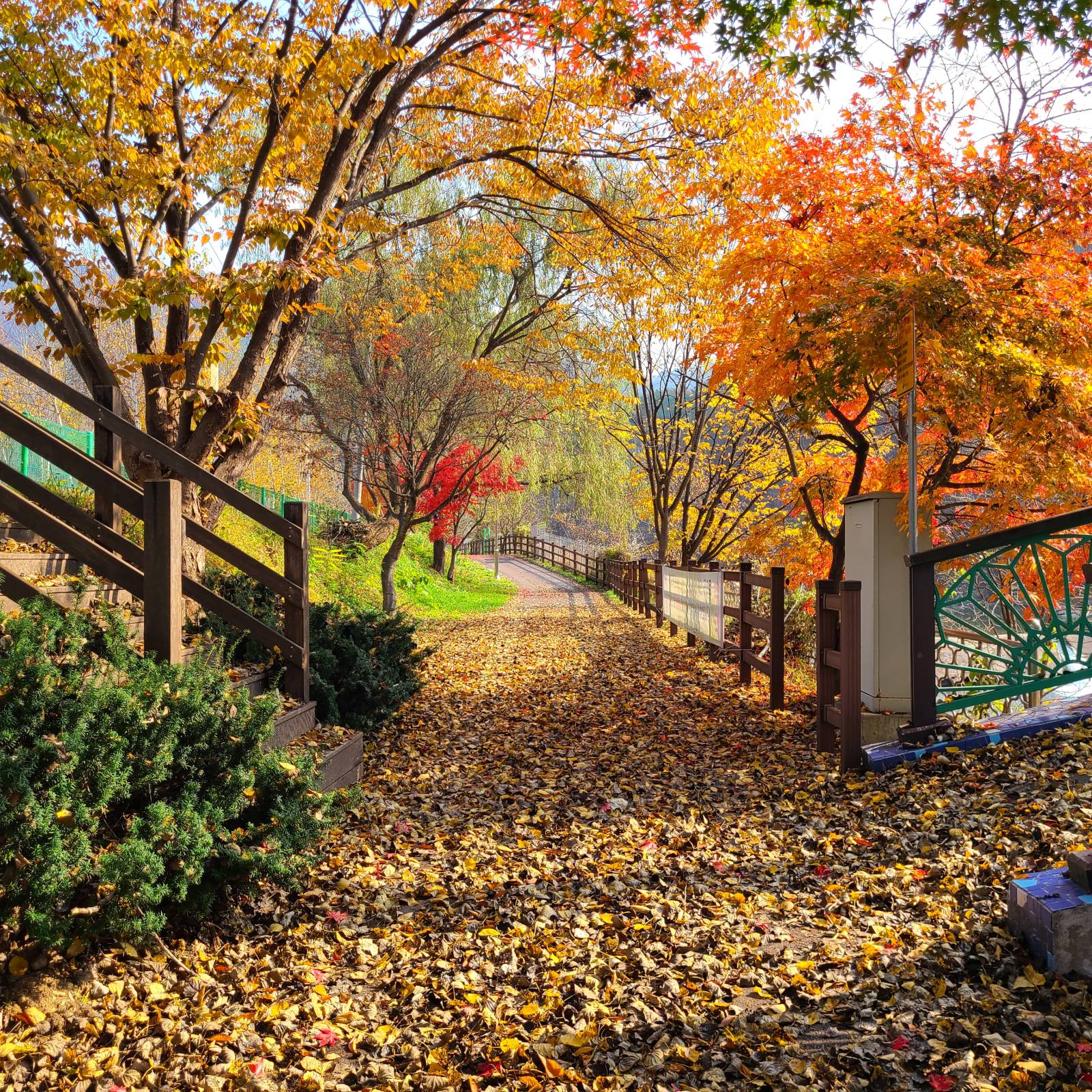 DMZ 평화의 길 25코스