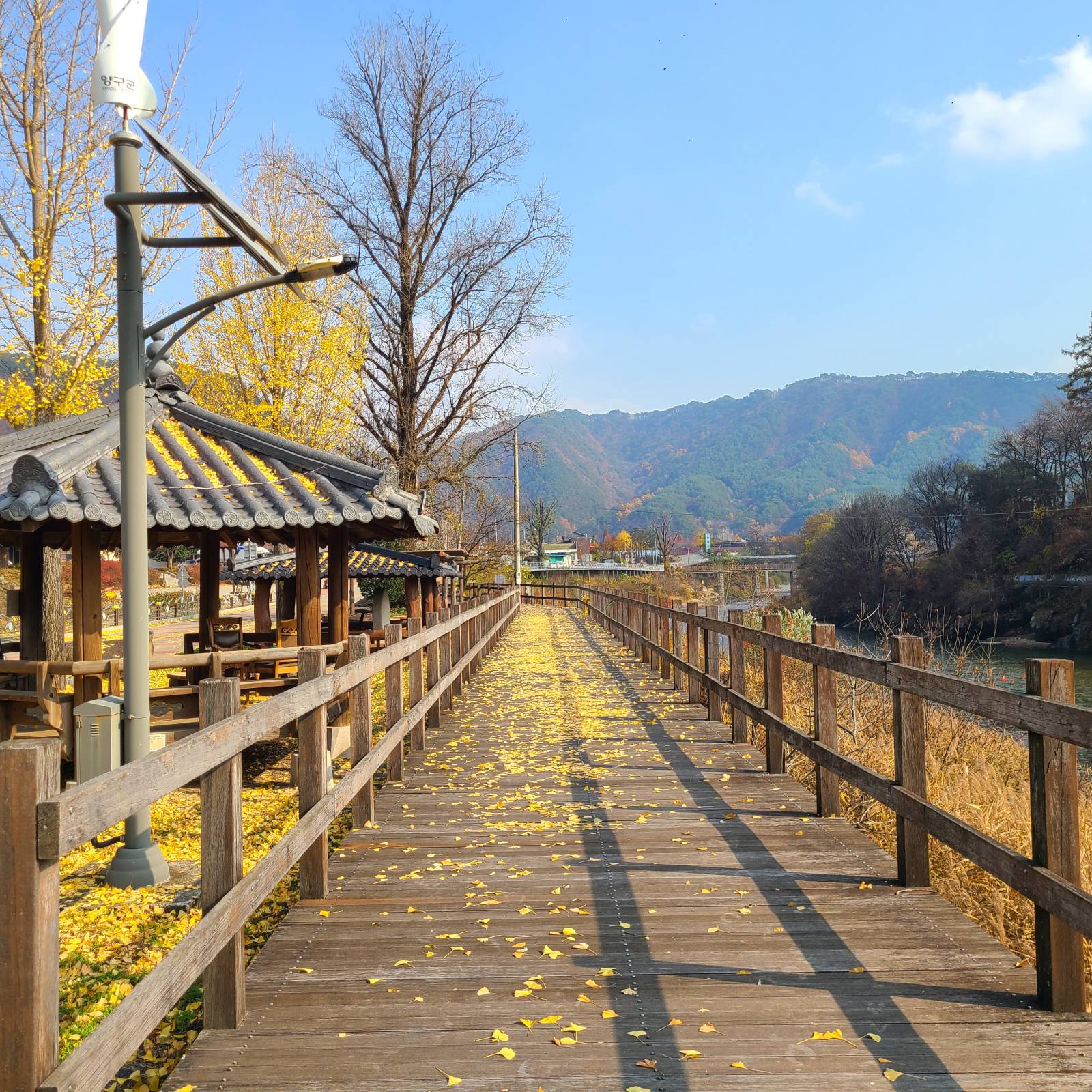 DMZ 평화의 길 25코스