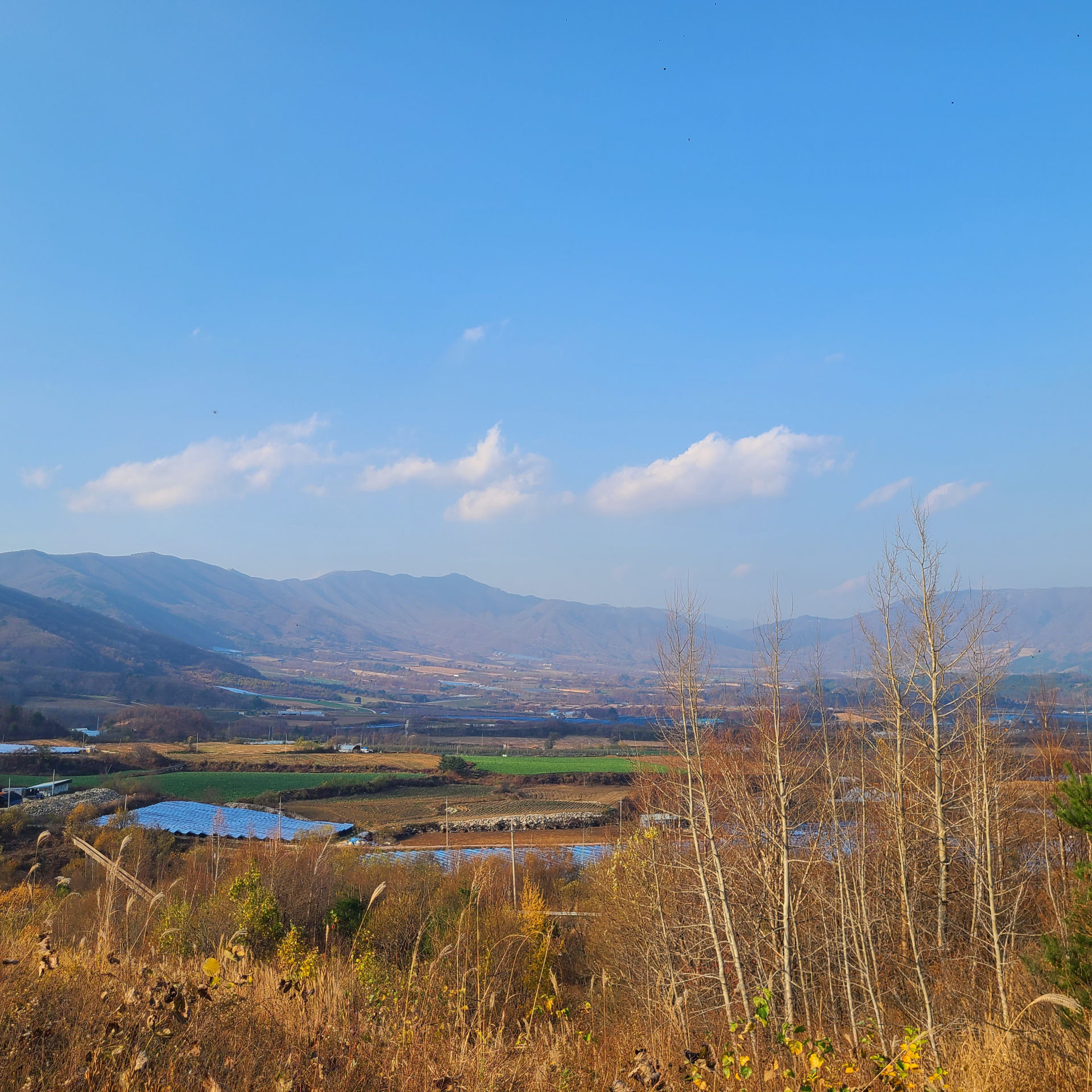 DMZ 평화의 길 28코스