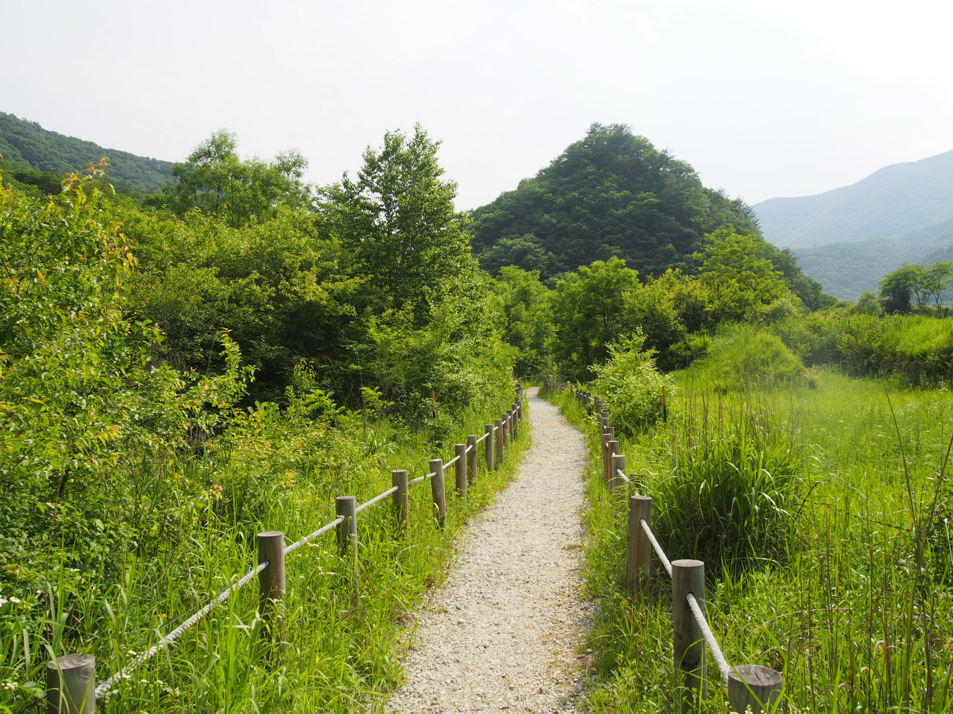 DMZ 평화의 길 26코스 (예약노선)