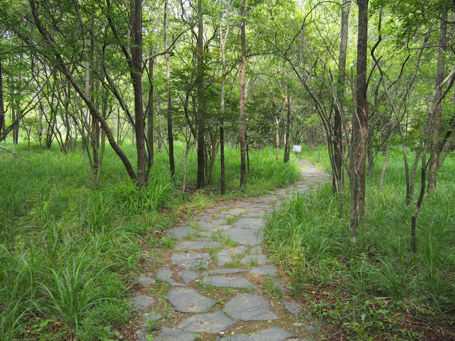 DMZ 평화의 길 26코스 (예약노선)