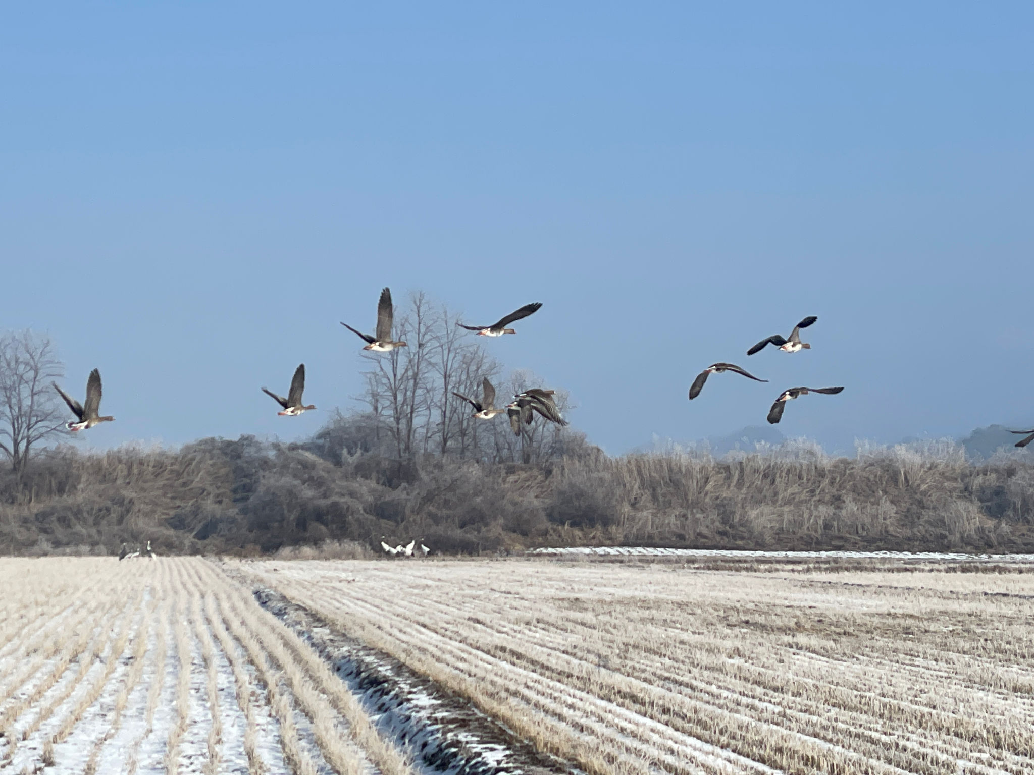 DMZ 평화의 길 17코스