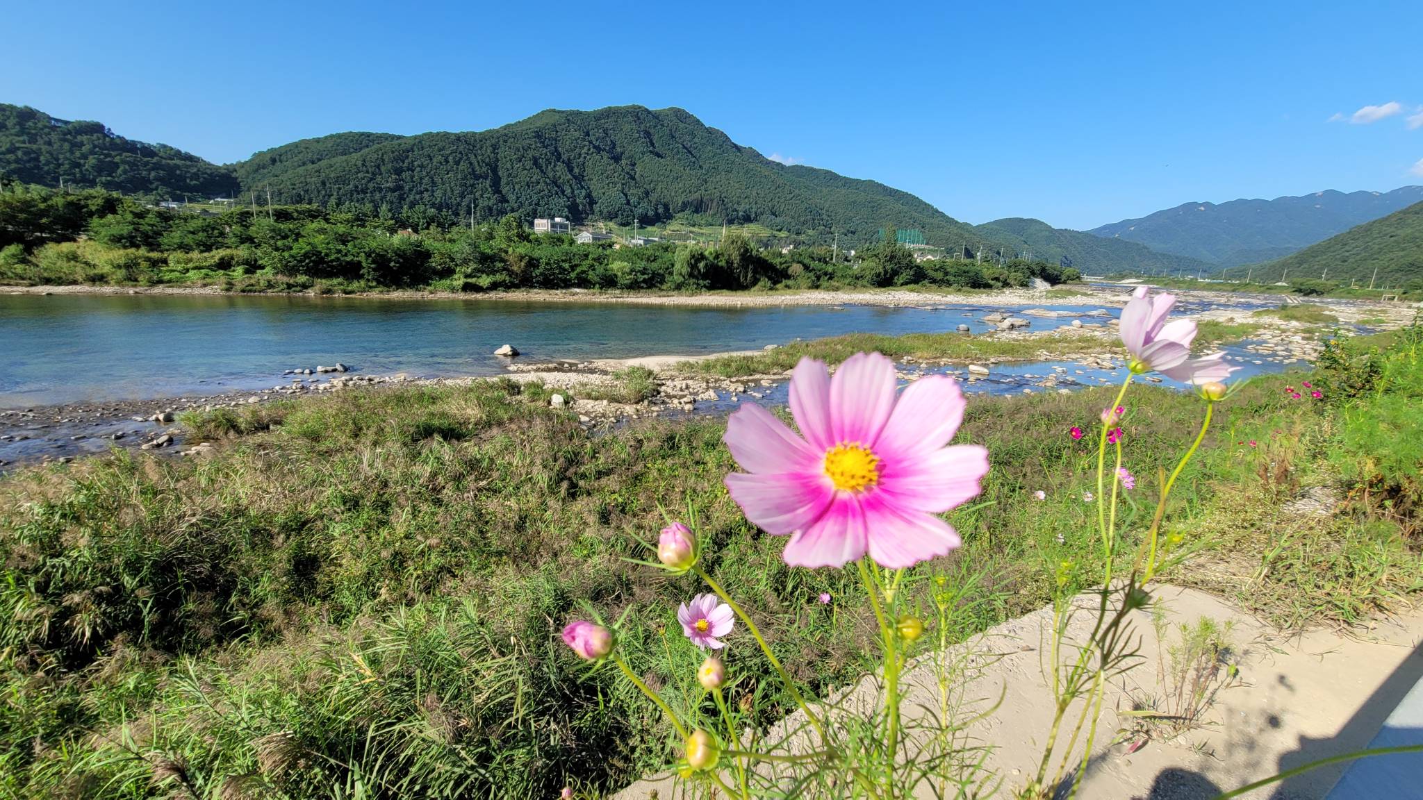 DMZ 평화의 길 30-1코스(우회로)