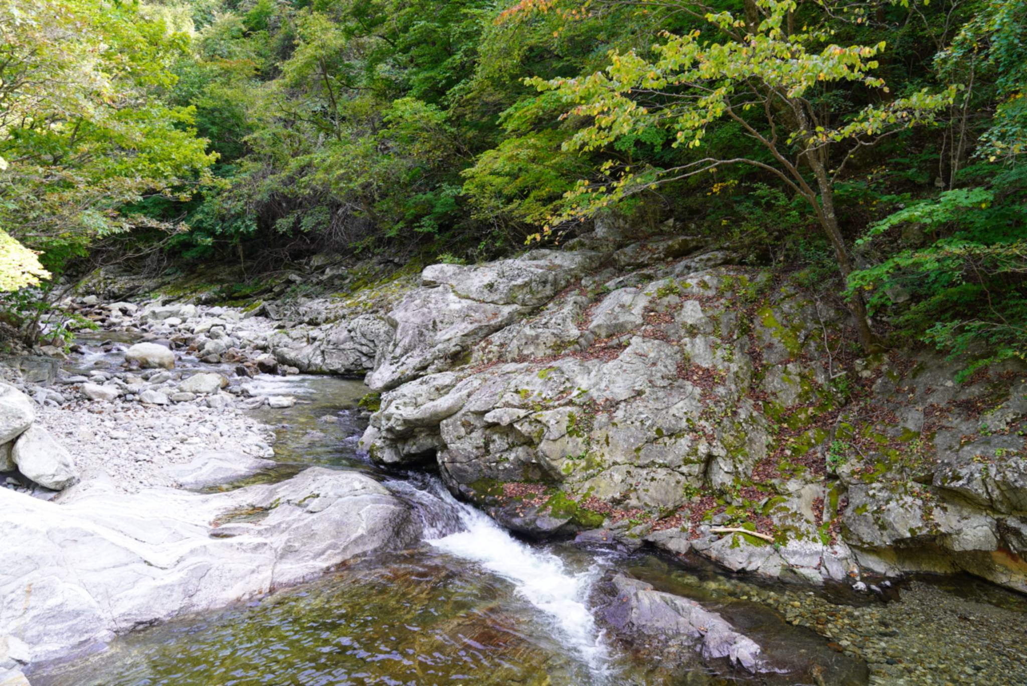 DMZ 평화의 길 30코스 (예약노선)