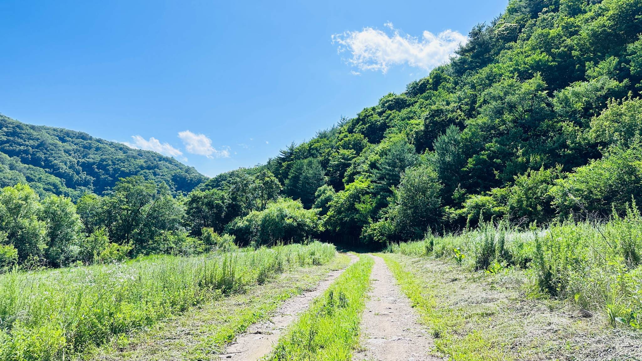 DMZ 평화의 길 30코스 (예약노선)