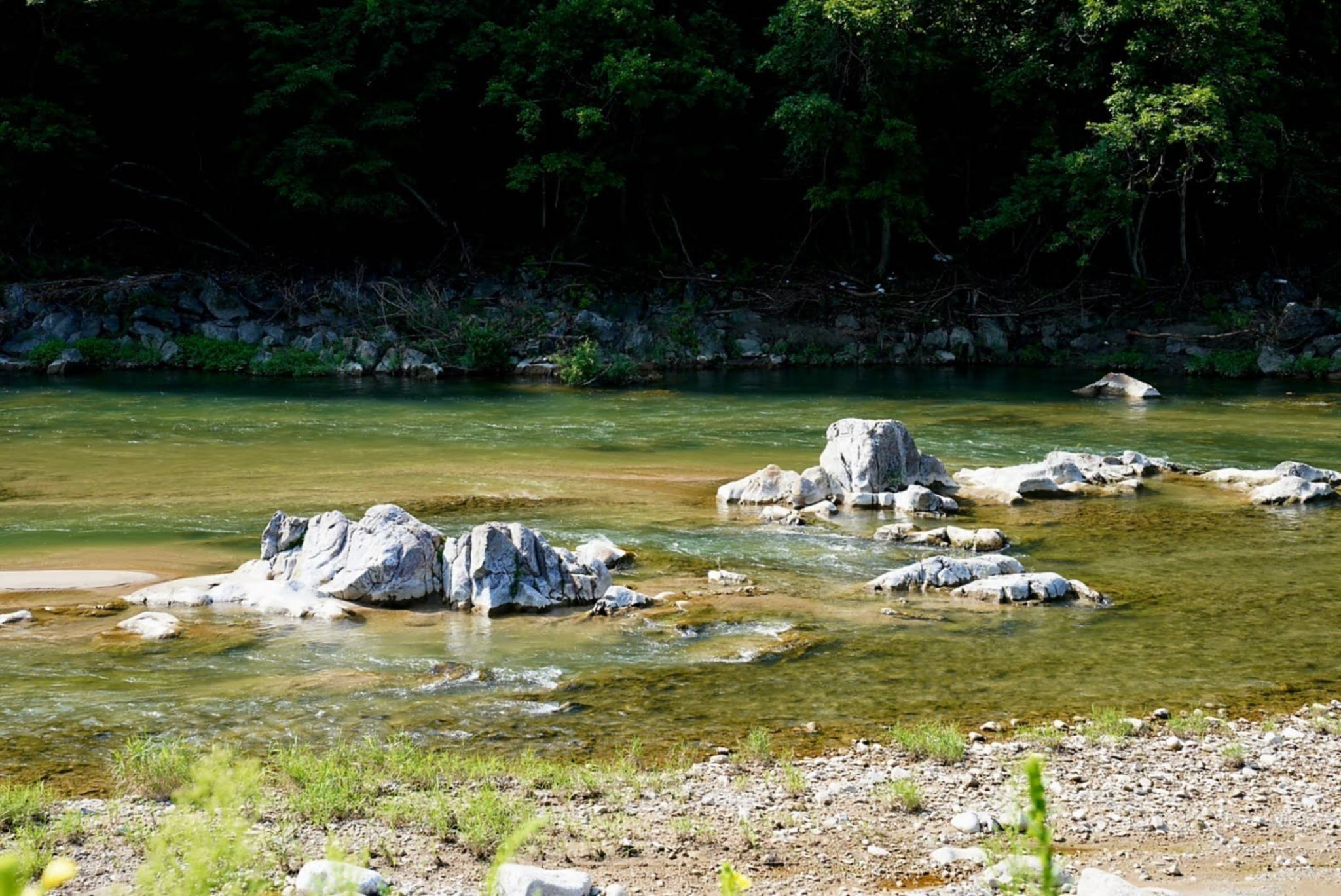 DMZ 평화의 길 29코스