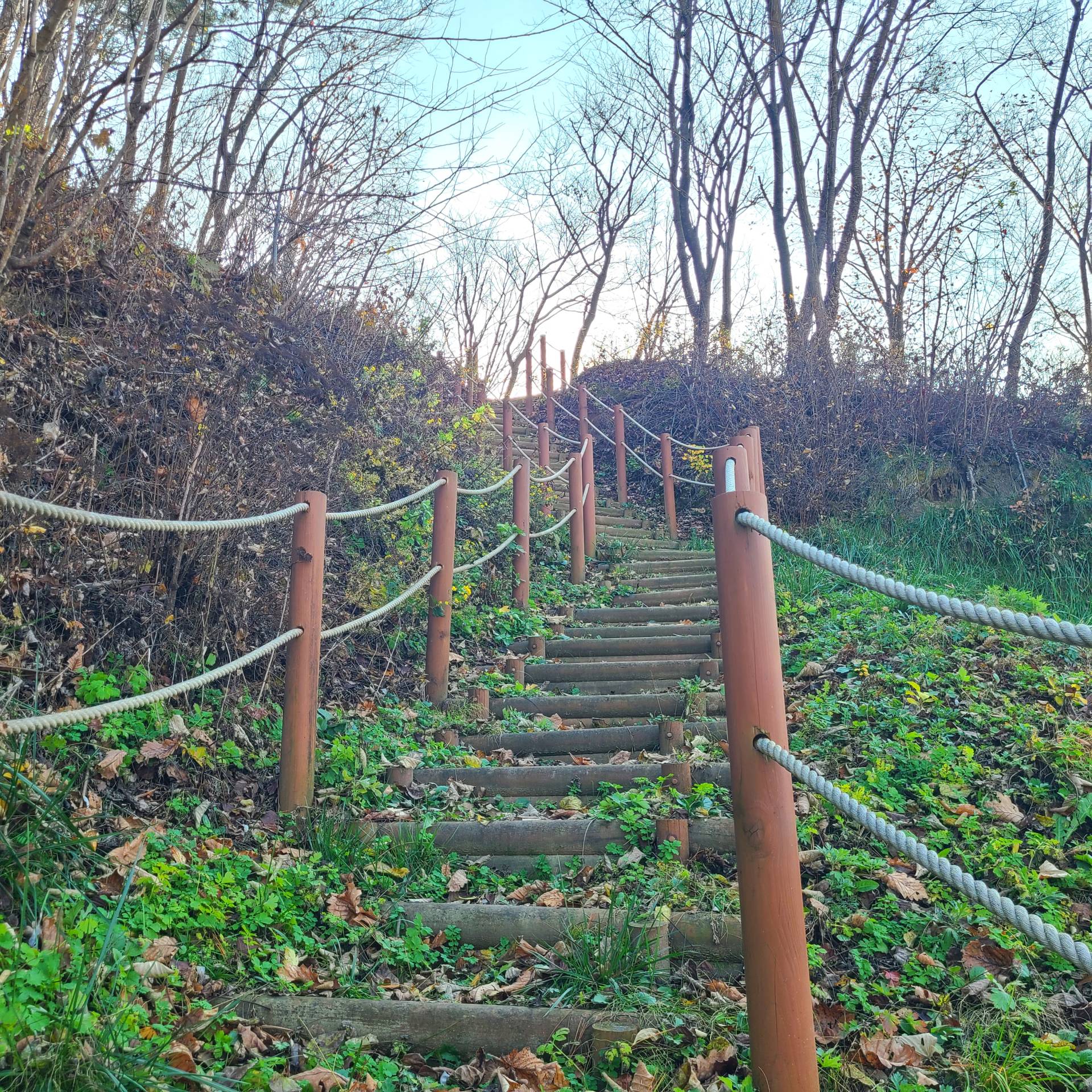 DMZ 평화의 길 29코스