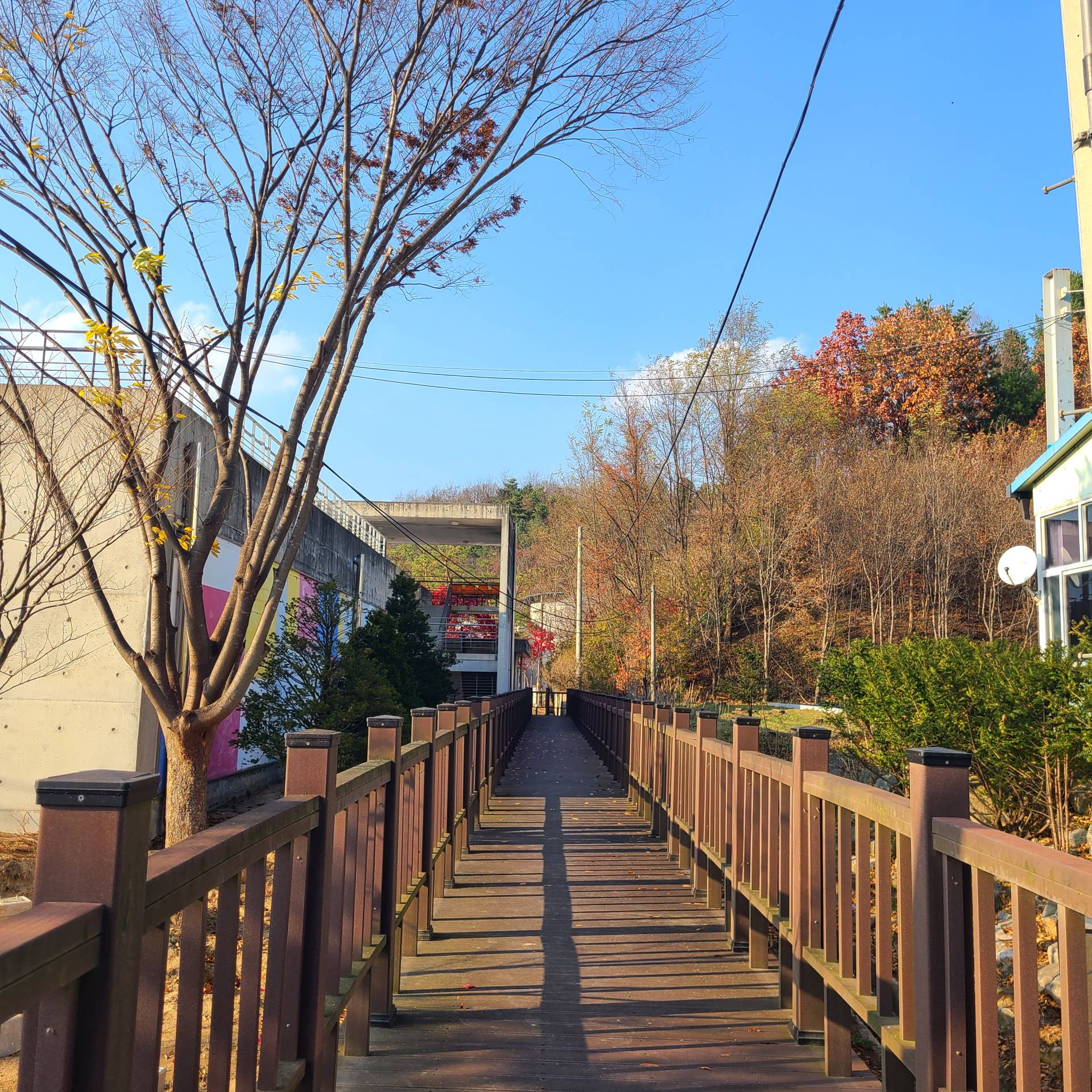 DMZ 평화의 길 29코스