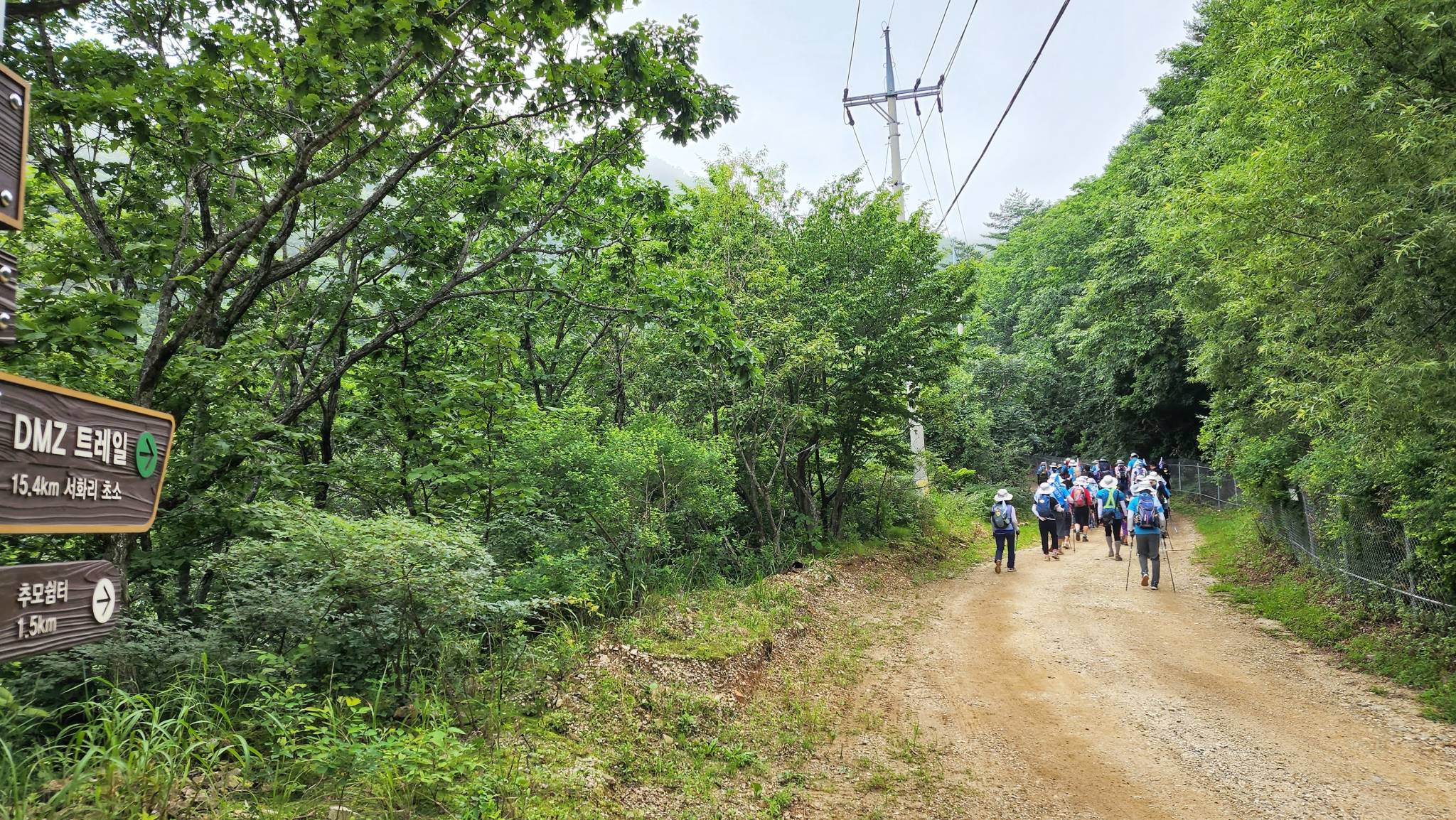 DMZ 평화의 길 30코스 (예약노선)
