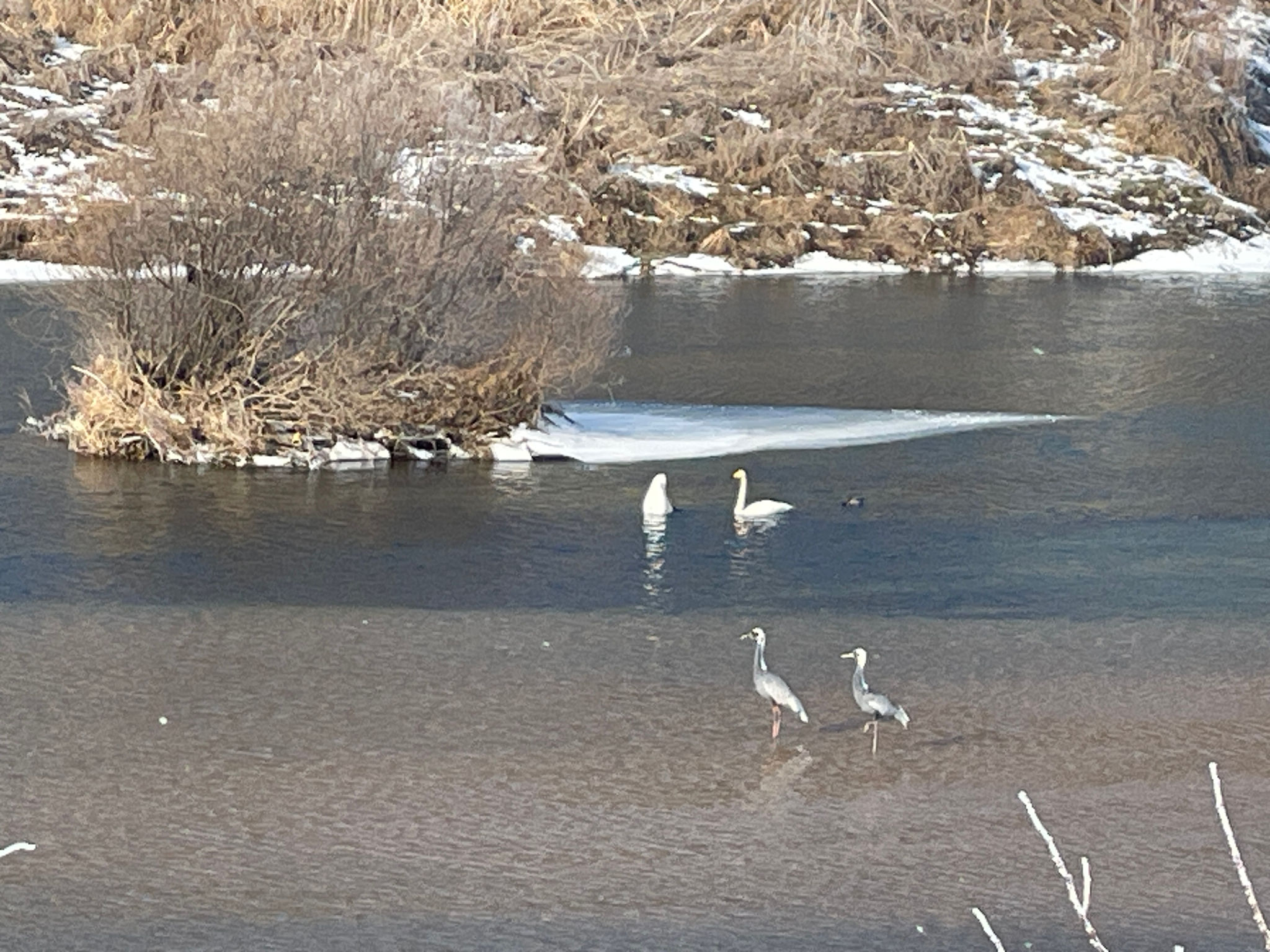 DMZ 평화의 길 17코스