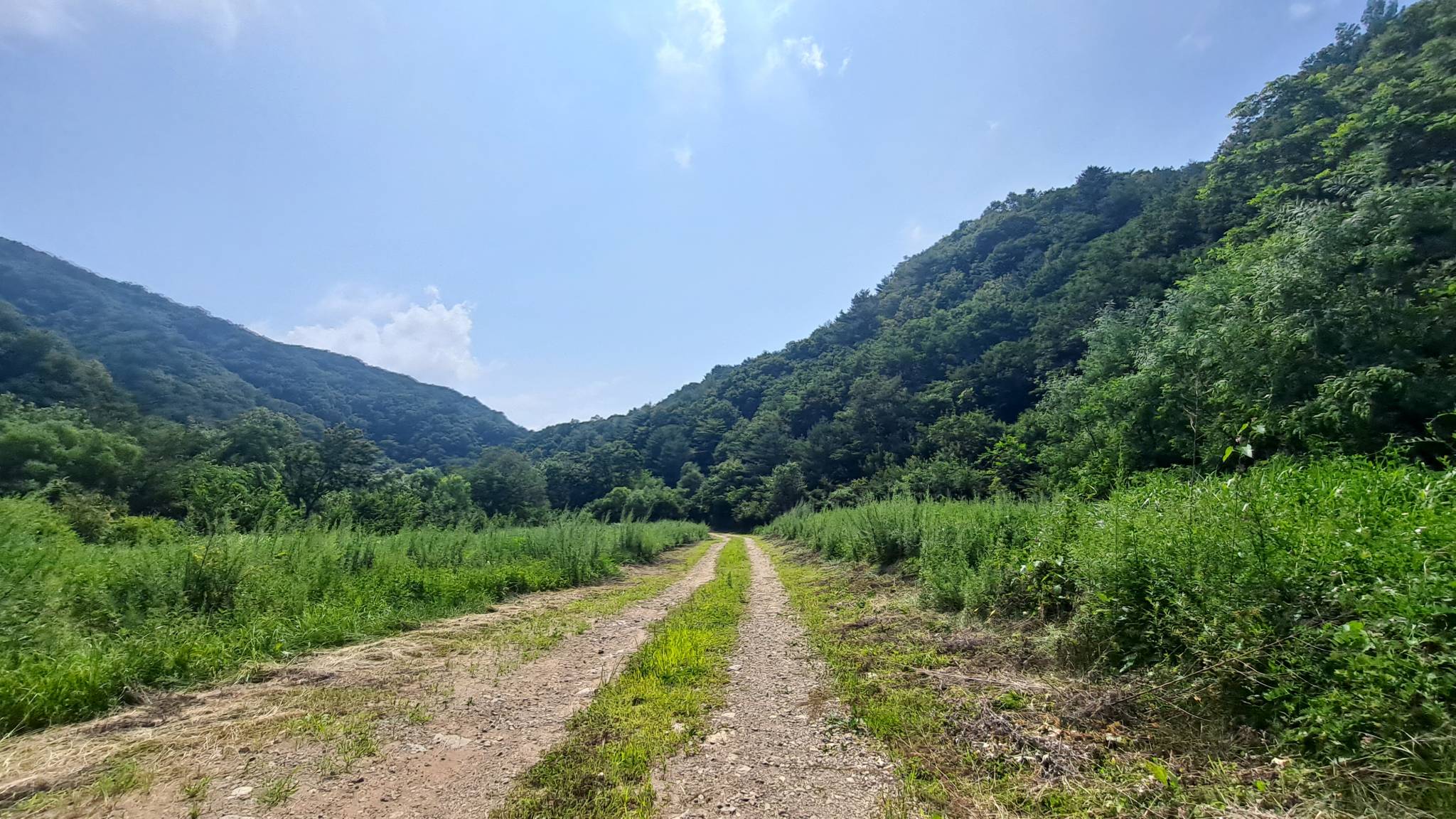 DMZ 평화의 길 30코스 (예약노선)