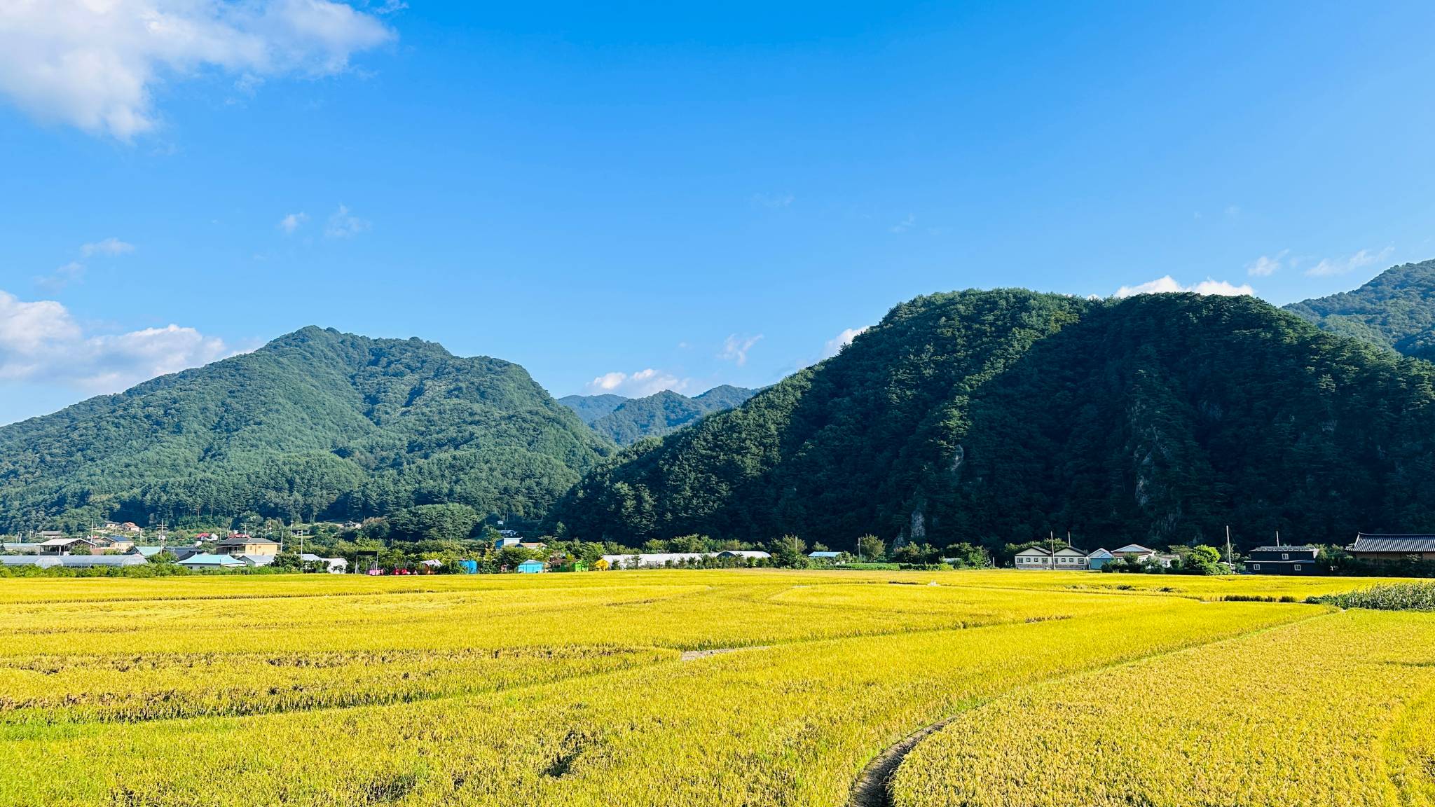 DMZ 평화의 길 30-2코스(우회로)