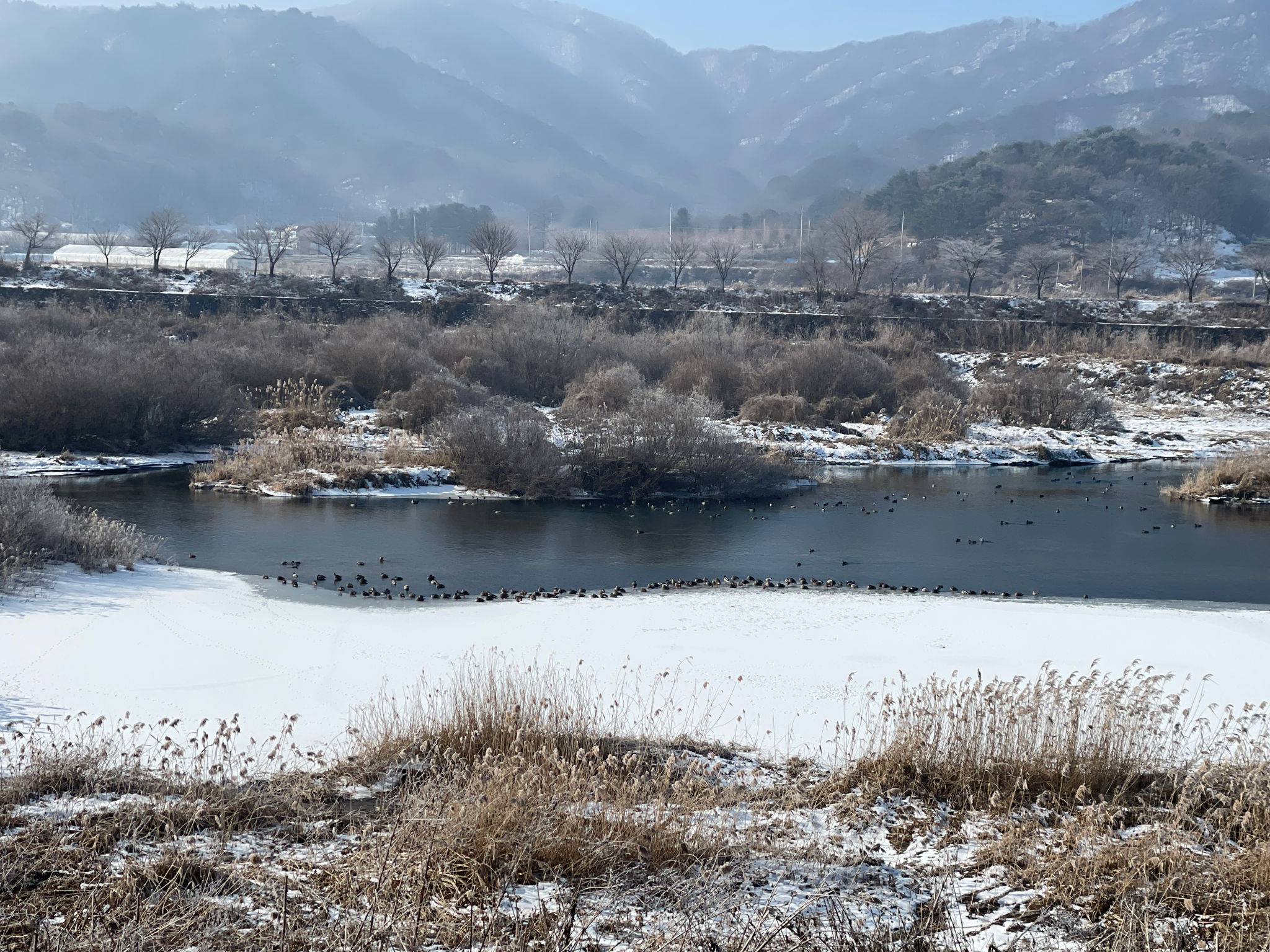 DMZ 평화의 길 17코스