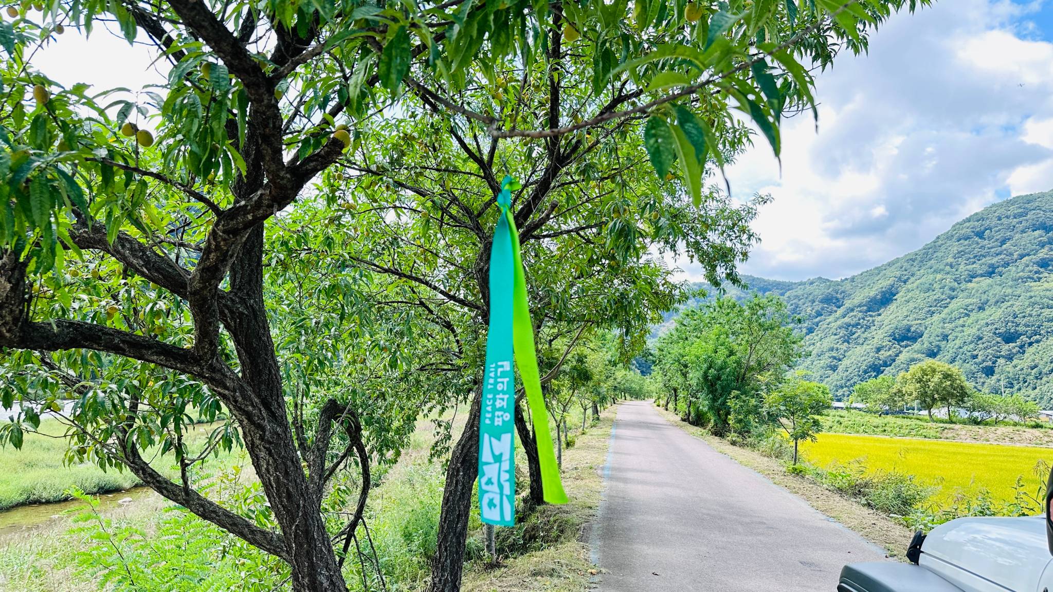 DMZ 평화의 길 30-1코스(우회로)