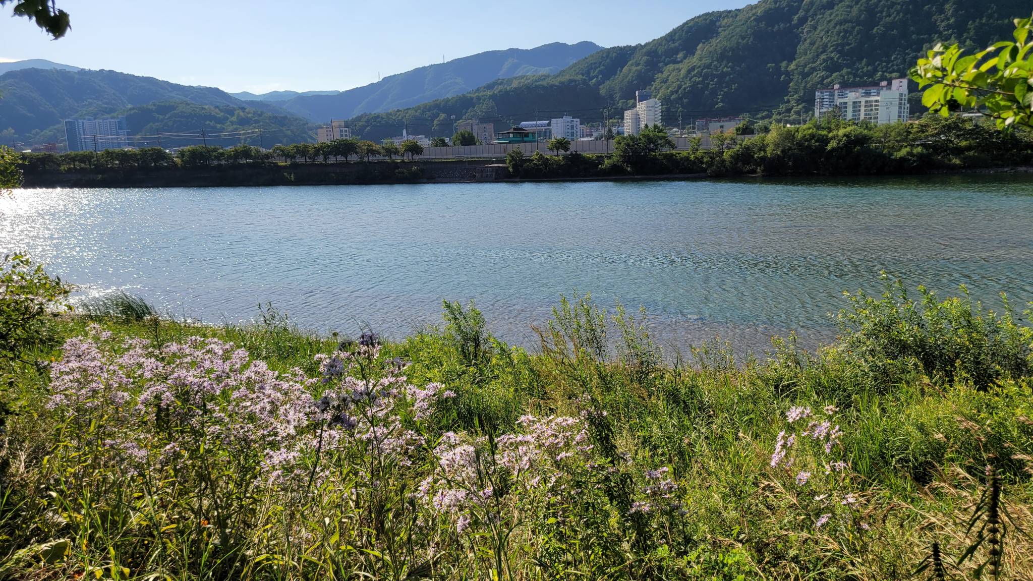 DMZ 평화의 길 30-1코스(우회로)