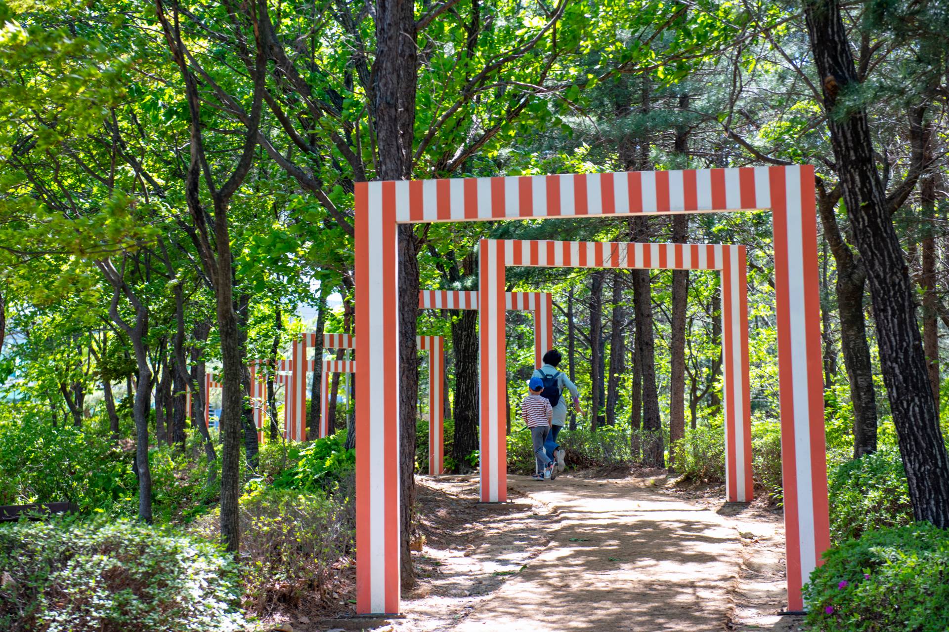 DMZ 평화의 길 2-1코스(우회로)