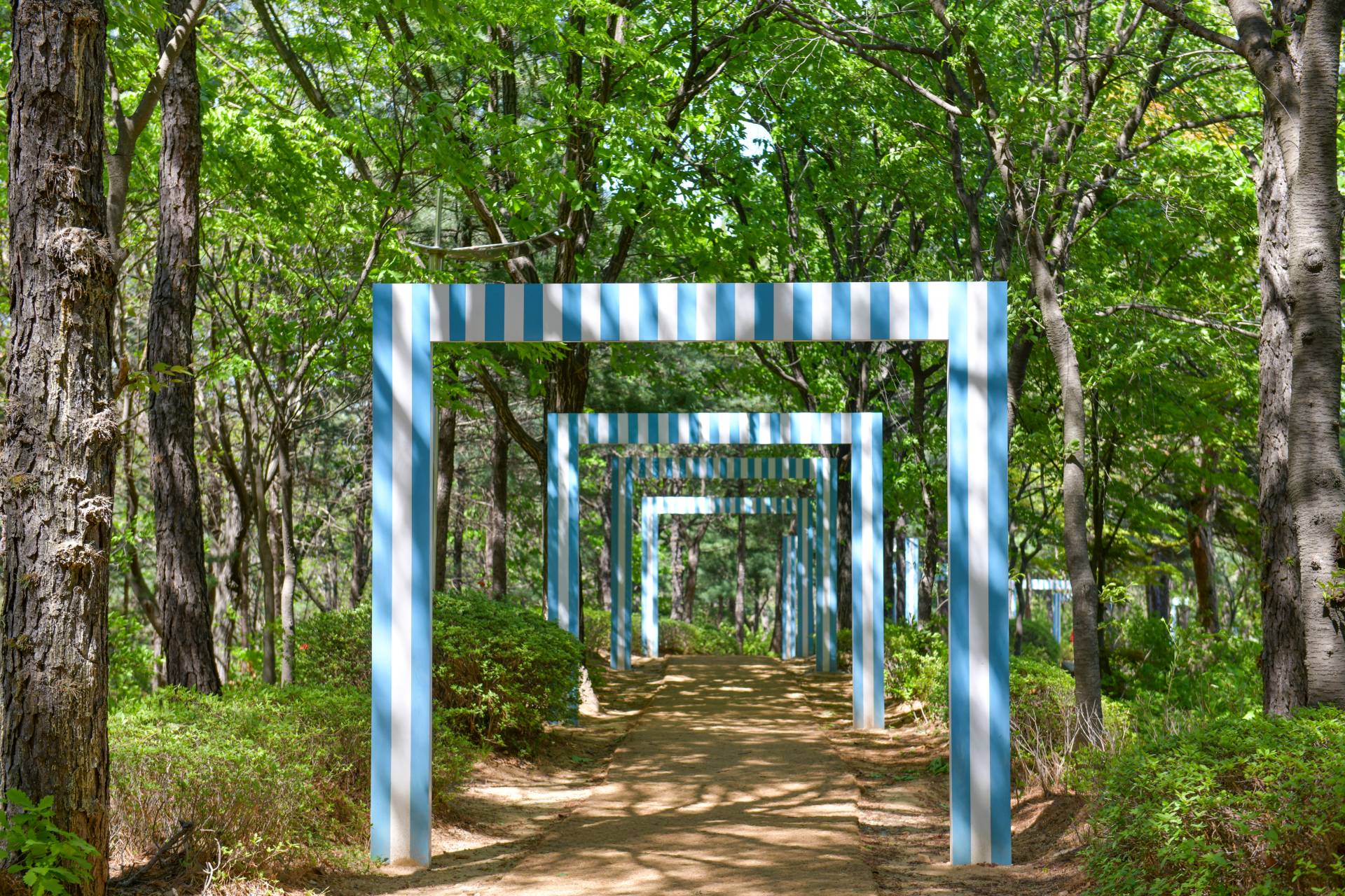 DMZ 평화의 길 2-1코스(우회로)