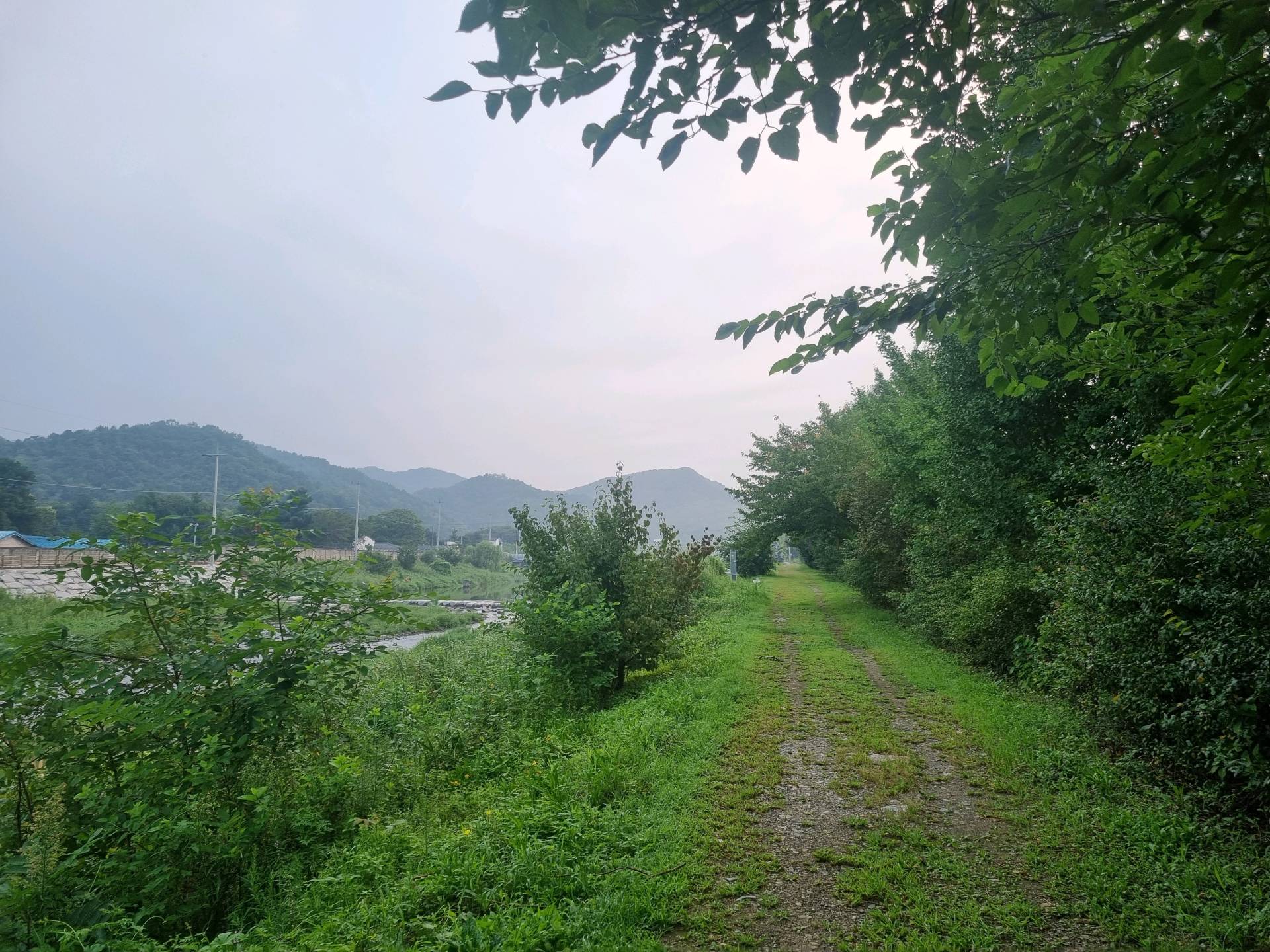 DMZ 평화의 길 14코스