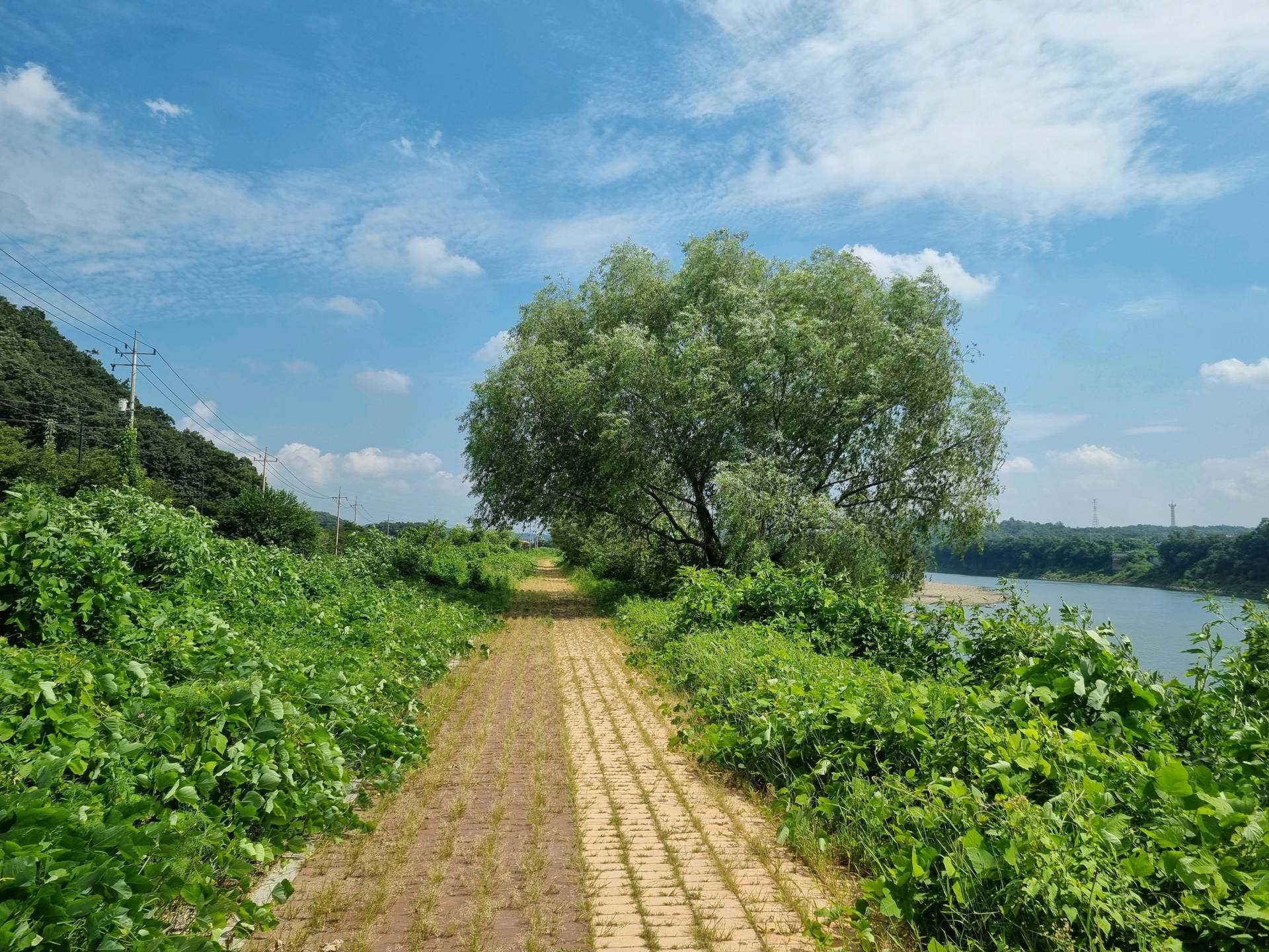 DMZ 평화의 길 11코스 