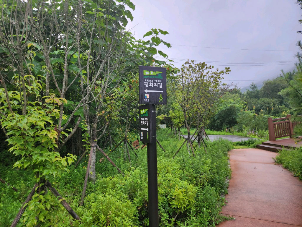 DMZ 평화의 길 19-1코스(우회로)